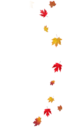 20339-6-transparent-fall-leaves-border